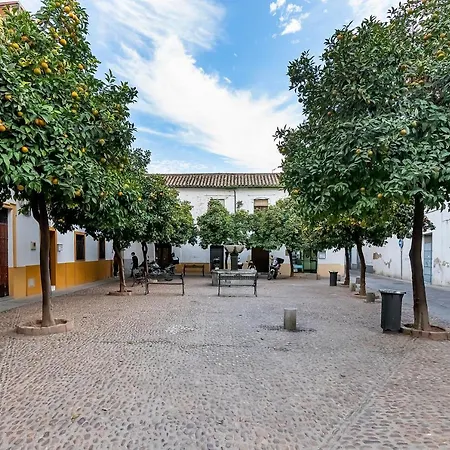 Bhost - Regina V Apartment Cordoba Exterior photo